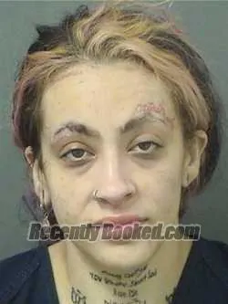 Booking photo from Palm Beach County, Florida