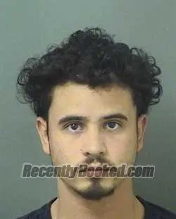 Booking photo from Palm Beach County, Florida