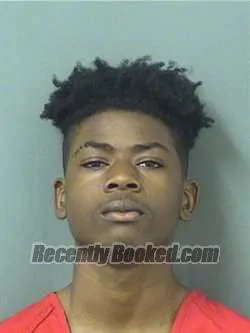 Booking photo from Palm Beach County, Florida