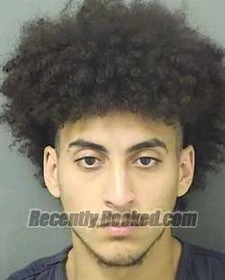 Booking photo from Palm Beach County, Florida