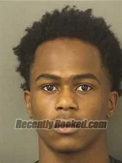 Booking photo from Palm Beach County, Florida