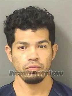 Booking photo from Palm Beach County, Florida