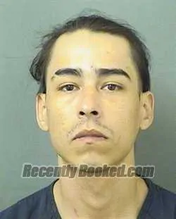 Booking photo from Palm Beach County, Florida