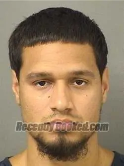 Booking photo from Palm Beach County, Florida