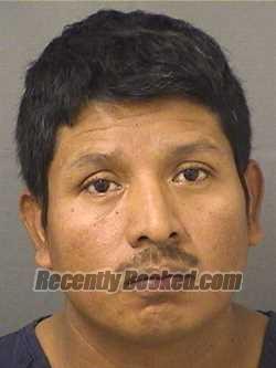 Booking photo from Palm Beach County, Florida