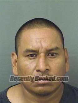 Booking photo from Palm Beach County, Florida