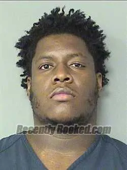 Booking photo from Palm Beach County, Florida