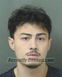 Booking photo from Palm Beach County, Florida