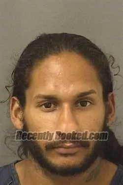 Booking photo from Palm Beach County, Florida