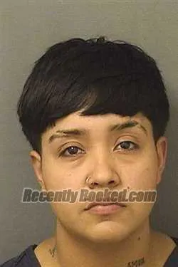 Booking photo from Palm Beach County, Florida