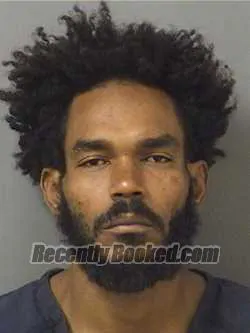 Booking photo from Palm Beach County, Florida