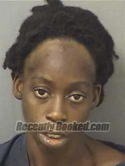 Booking photo from Palm Beach County, Florida
