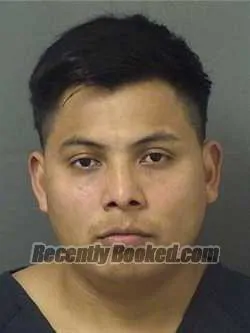 Booking photo from Palm Beach County, Florida