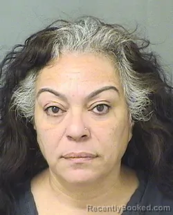 Booking photo from Palm Beach County, Florida