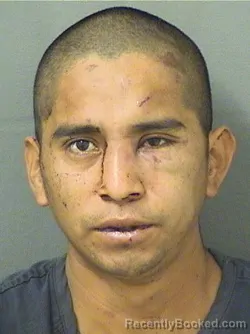 Booking photo from Palm Beach County, Florida