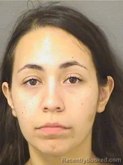 Booking photo from Palm Beach County, Florida