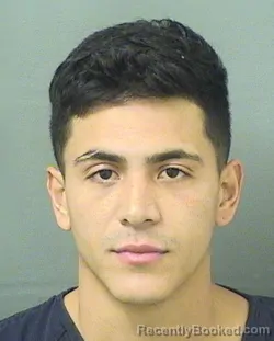 Booking photo from Palm Beach County, Florida