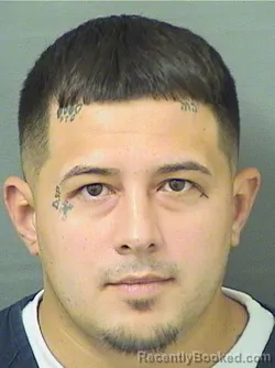 Booking photo from Palm Beach County, Florida