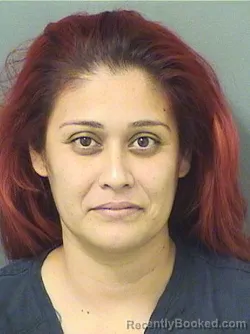 Booking photo from Palm Beach County, Florida