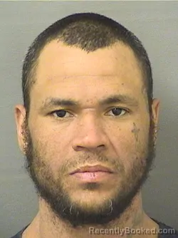 Booking photo from Palm Beach County, Florida