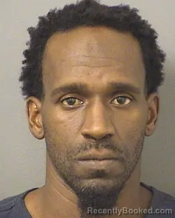 Booking photo from Palm Beach County, Florida