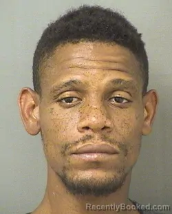 Booking photo from Palm Beach County, Florida