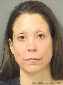 Booking photo from Palm Beach County, Florida
