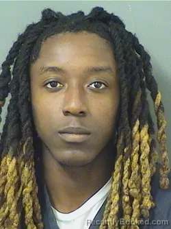 Booking photo from Palm Beach County, Florida