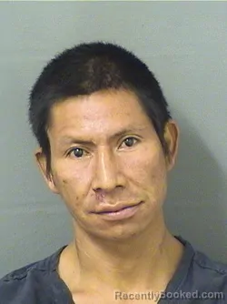Mugshot of FELIPE JAVIER DIAZQUINONES
