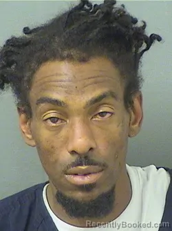 Booking photo from Palm Beach County, Florida