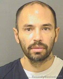 Booking photo from Palm Beach County, Florida