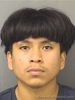 Booking photo from Palm Beach County, Florida