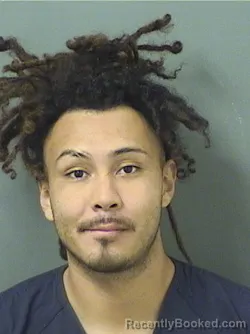 Mugshot of MARLON ALVARADO