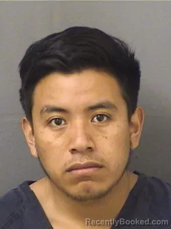 Mugshot of MARCO A ORDONEZHERNANDEZ