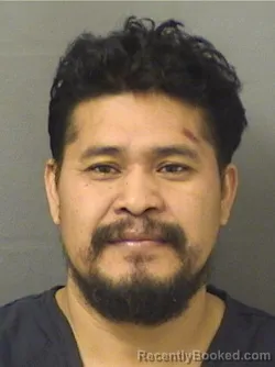 Mugshot of ANDRES FRANCISCOPEREZ