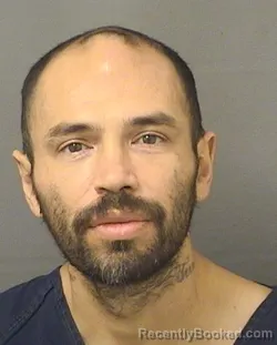 Mugshot of PABLO ALVEREZ