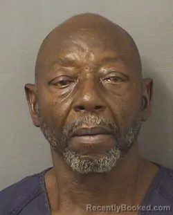 Mugshot of VINCENT MAYES