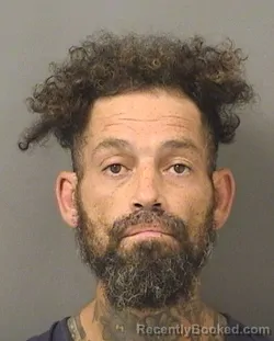 Mugshot of MARIO LUIS TOLOSABATISTA