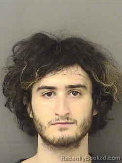 Mugshot of ALEK MICHAEL RAVKIN