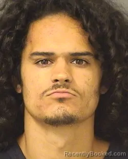 Mugshot of OLIVER GUERRERO