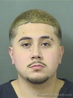 Mugshot of JOSUE DAVID SAMBONYALFONSO