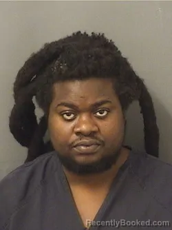 Mugshot of EVANS SAUVEUR