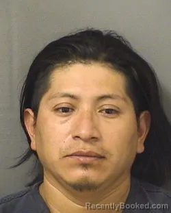 Mugshot of DIEGO PABLO JUANANDRES