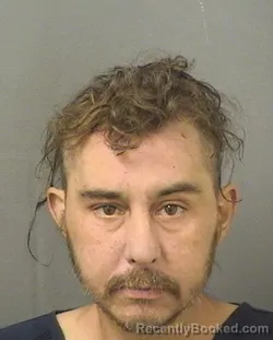 Mugshot of JAMES RYAN JACKSON