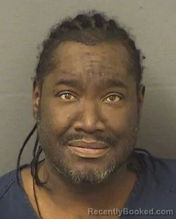 Mugshot of SEAN M WHITE