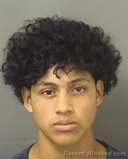 Booking photo from Palm Beach County, Florida