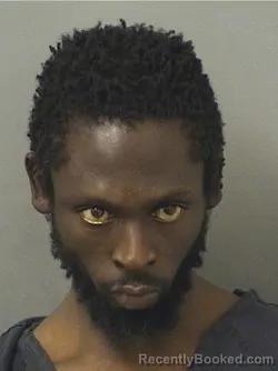 Mugshot of TERRY GUILLAUME