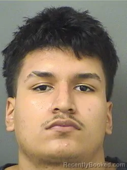 Mugshot of ALFREDO CASTANEDASOLENO