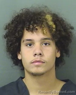 Mugshot of LUCA MINAYA