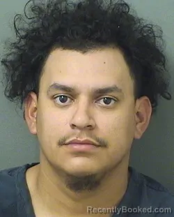 Mugshot of DONY MISAEL SANCHEZPORTILLO